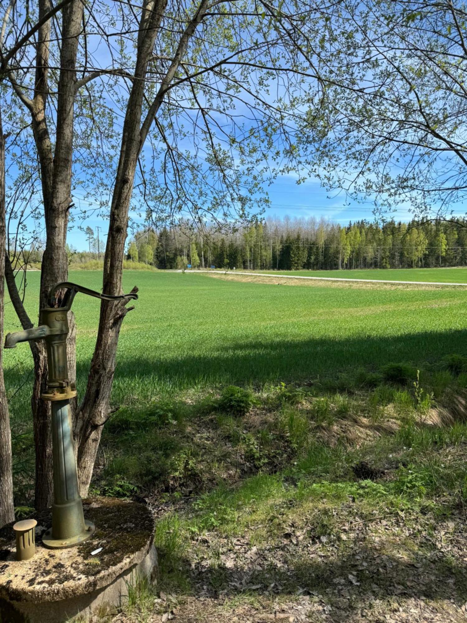Mysig Stuga I Naevesta Örebro Zewnętrze zdjęcie